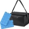 Merkloos Kleine Mini Koeltas Zwart Voor 6 Blikjes Inclusief 2 Koelelementen - Compacte Koelboxen/koeltassen En Elementen