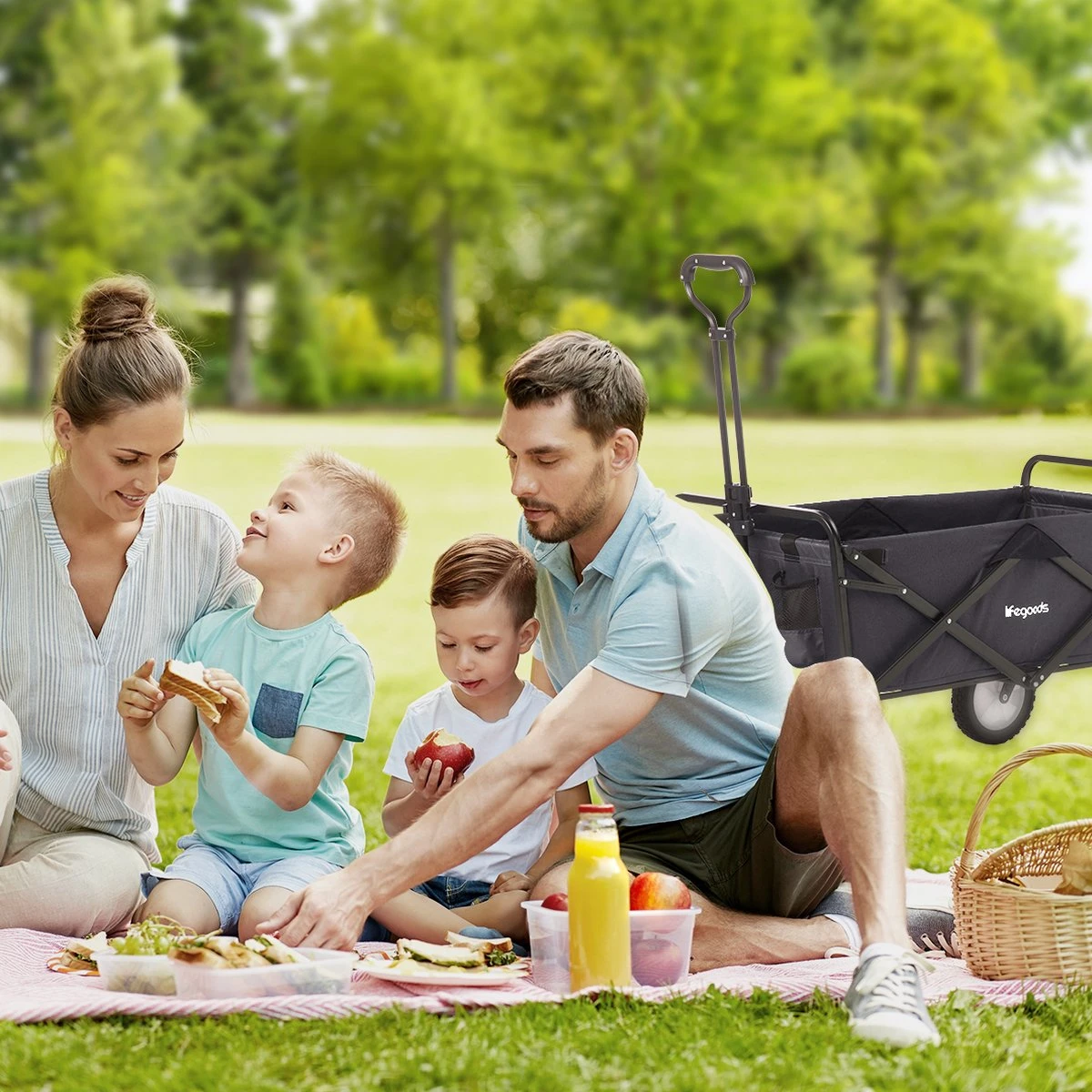 LifeGoods Bolderkar - Opvouwbaar - Draaibare Wielen - 2 Standen - 70KG Draagkracht - Zwart - Afbeelding 6