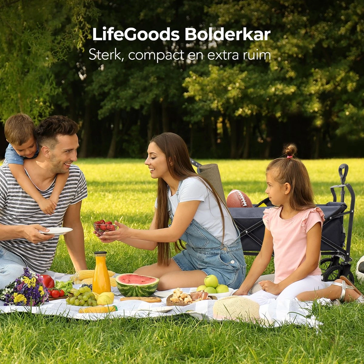 LifeGoods Bolderkar - Opvouwbaar - Tot 120KG - 103L - Extra Draagtas En Duwstang - Wasbaar Polyester - 98x45cm - Zwart/Grijs - Afbeelding 9
