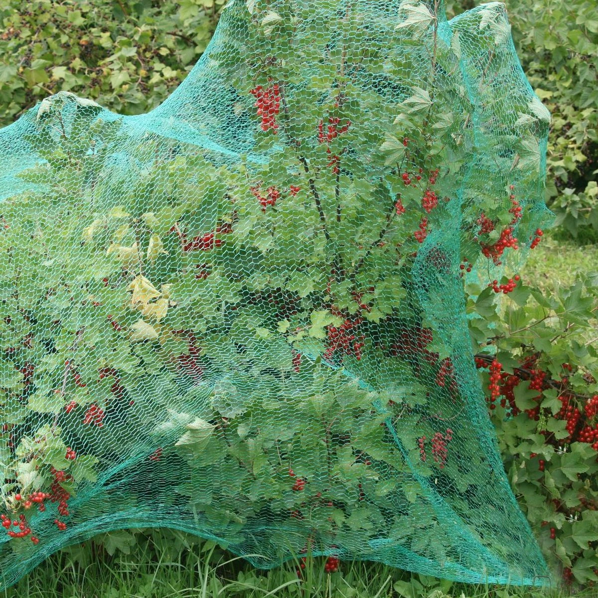 Relaxdays 200x Gronddoekpen - Grondanker - Haring - Gronddoekhaak - Grondhaken - 2mm - Afbeelding 3