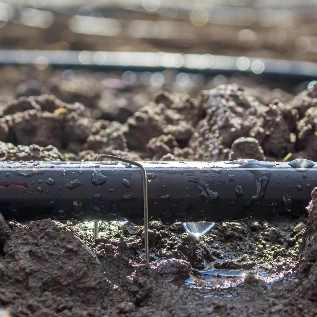 Relaxdays 100x Gronddoekpen - Grondanker - Haring - Gronddoekhaak - Grondhaken - 2mm - Afbeelding 2