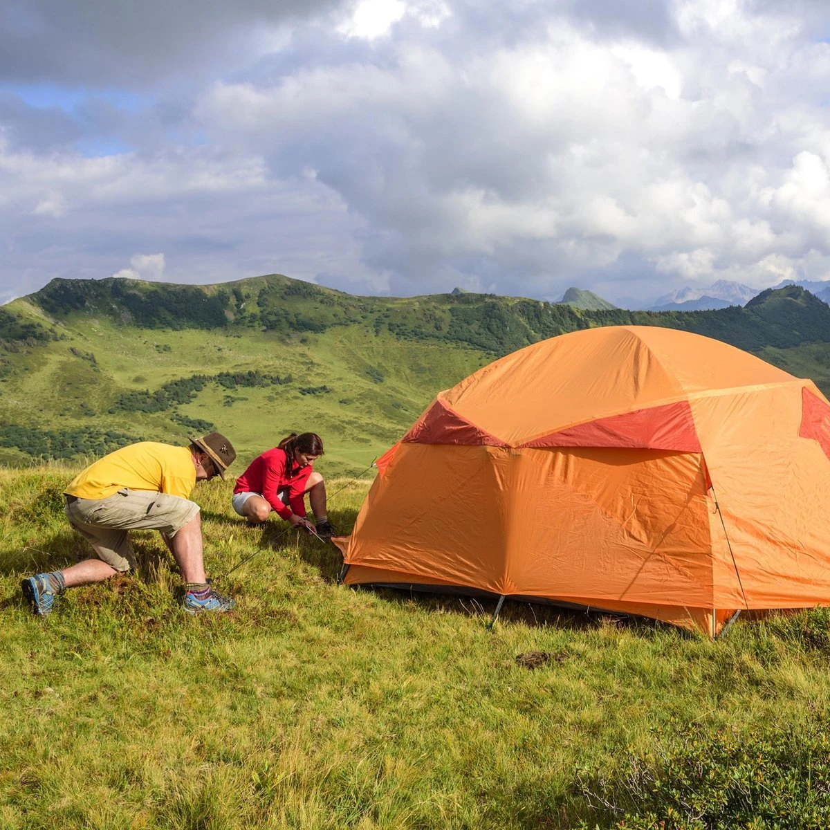Relaxdays Tentharingen - Haringen - Schroefharingen - T-haring - 12 Stuks - Grondpennen - Zwart - Afbeelding 5