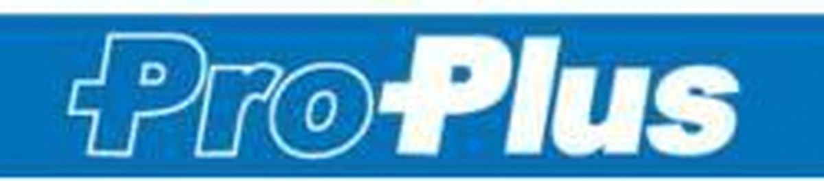 PROPLUS Pro Plus Aanlegspiraal - Hondenpen Met Handvat En Ring - Lengte 39 Cm - Afbeelding 2