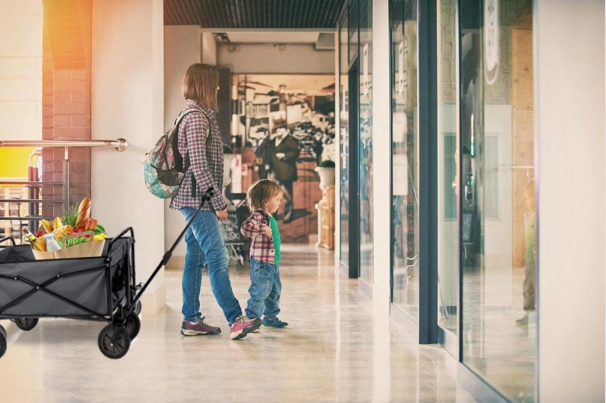 Hoogwaardige Bolderkar Opvouwbaar - Antraciet - Kinderen - Baby - Opslagkar - Bolderwagen - Tuinkar - Bolderkarren - Afbeelding 6