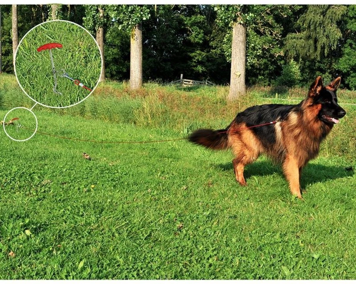 PROPLUS Pro Plus Aanlegspiraal - Hondenpen Met Handvat En Ring - Lengte 39 Cm - Afbeelding 3